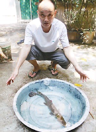 垃圾桶旁惊现“怪物” 会装死孩子咬伤了环卫工