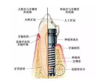 巴班牙人口(3)