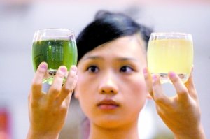 金银花泡的茶咋是墨绿色? 制造商:绿原酸含量