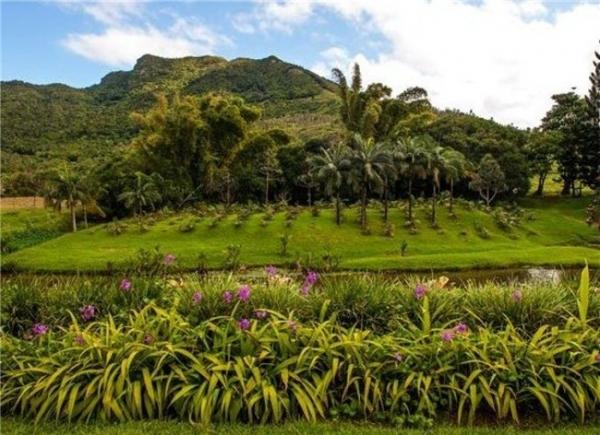 此生要携家带口去毛里求斯的10大理由