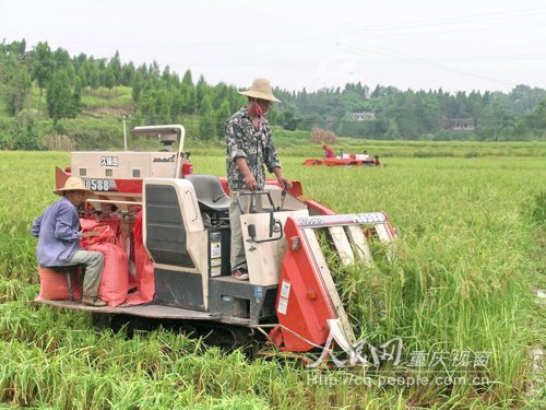 一亩地多大_一亩地纯收入(3)
