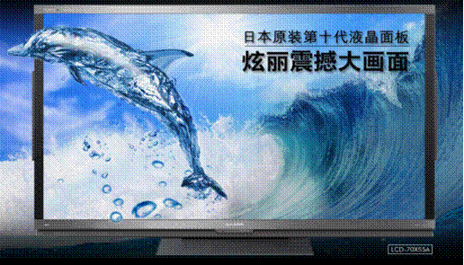 2011年2月