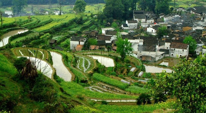 罗平县gdp_信宜玉都风情网 航拍云南罗平万顷油菜花怒放 中国式花海美哭驴友中国经济网曲靖2月13日讯 2月6日,云南省曲靖市(3)