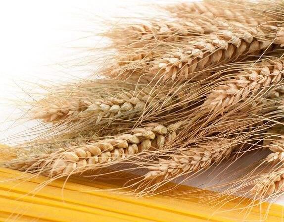 粮食大降价，背后竟然都是“套路”!