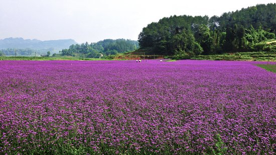 童樂(lè)夏天全家總動(dòng)員 2013暑期親子游線路推薦