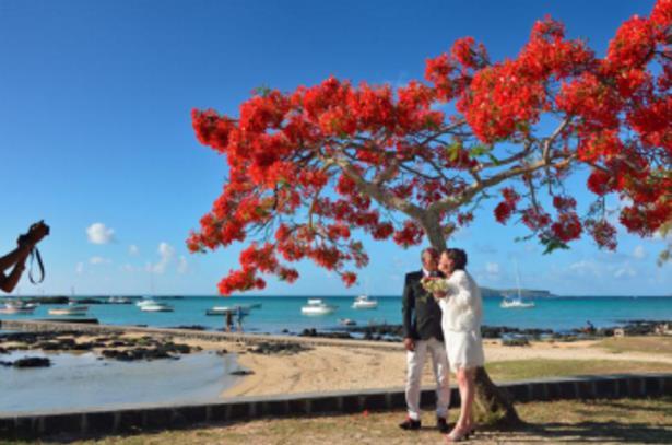 毛里求斯获评十佳海岛游目的地 夏季来坐拥无敌海景