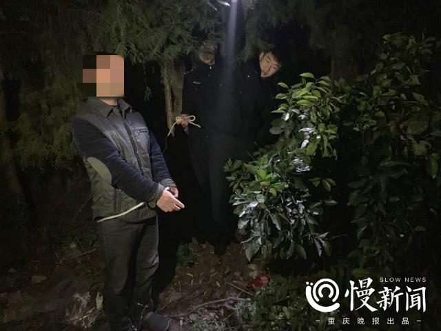 专偷寺庙功德箱 他巫山作案被奉节警方抓获