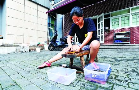 里昔日的同学在秀开学典礼时,18岁女孩喻佳欣却在餐馆厨房忙着杀鸡划