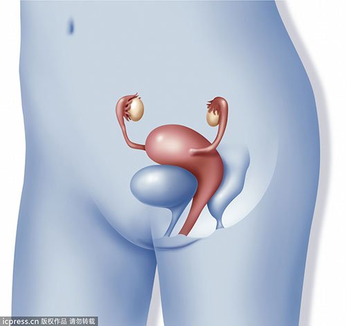 深度讲解:女人隐私部位有多深