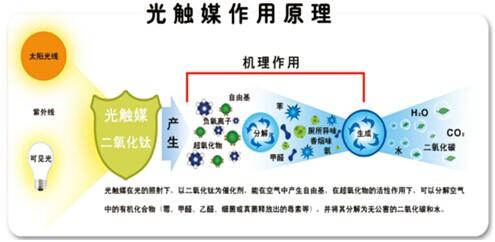 重庆热首届网络家装节 甲醛治理免费送