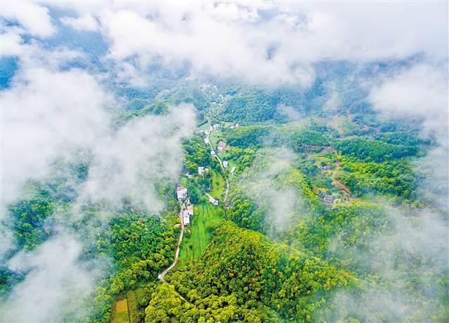 9月18日,城口县岚天乡,云雾笼罩下的村庄 苏思 摄