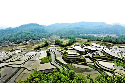 酉阳县人口_四川最有后劲的城市,不是宜宾 泸州,南充 遂宁也只能排后面(2)