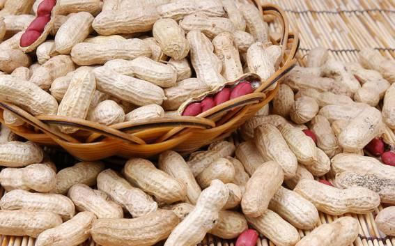 4样东西吃多了会变傻!过年我们都会买(图)