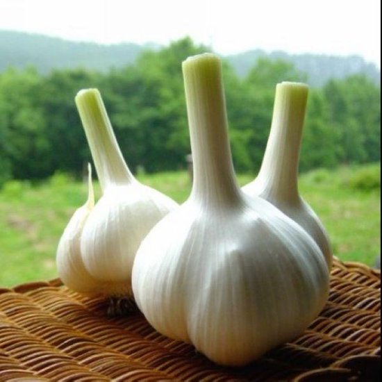 大蒜这样吃才抗癌 99%的人吃法错了