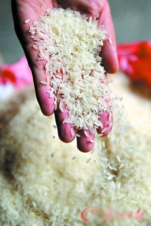 搓米有油泥小心毒大米