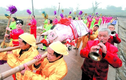 江津生态年猪节开锣 2000头年猪等你点杀