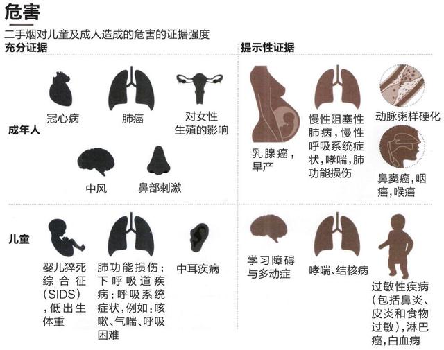 重庆主城区成年人有174万人吸烟