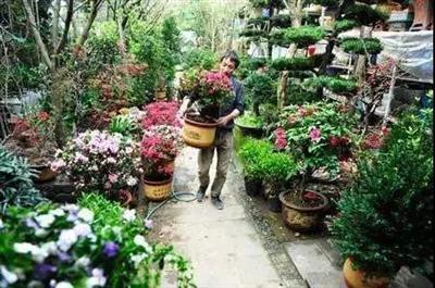 重庆最全花市地图 这个秋天一定要玩出彩