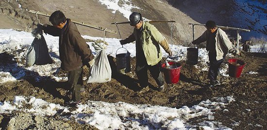 哈罗铁路沿线移动网络实现全面覆盖