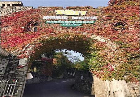 沿途风景美如画 T009路公交线火了