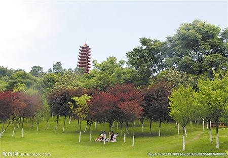 《重庆森林氧吧地图》,渝北的玉峰山森林公园和照母山森林公园双双