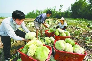 磨滩镇人口_定了 合肥这个区即将身价暴涨,住在这的人有福了(2)