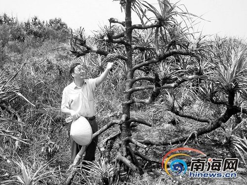 六旬汉开微博保护海南生态 引起北京业界关注