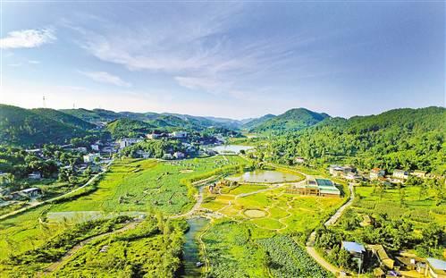 沙坪坝：在服务全局中打造经济升级版