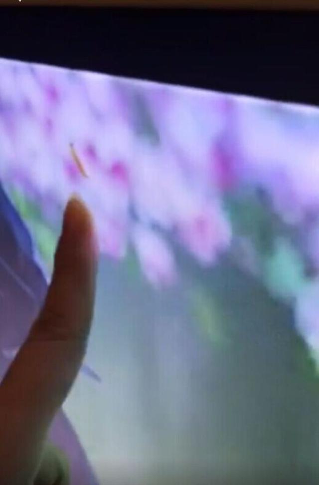 电视屏幕里虫子和主人追剧 售后：不属于质量问题