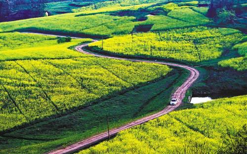 江津:60平方公里农业大公园等你来玩(图)