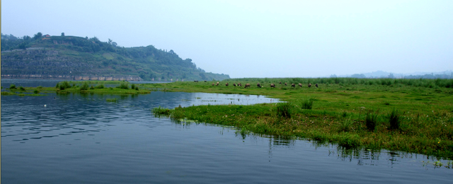 重庆露营好去处:铜梁安居古城黄家坝湿地公园