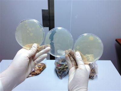 实验称熟毛豆露天放6小时 大肠菌群增加159倍