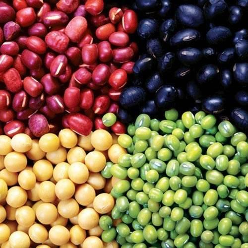 豆类食品的食疗保健