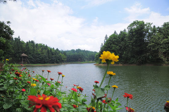 <em>牛郎织女</em>雨台山相会 掀起<em>爱</em>的盛宴狂欢夜_大