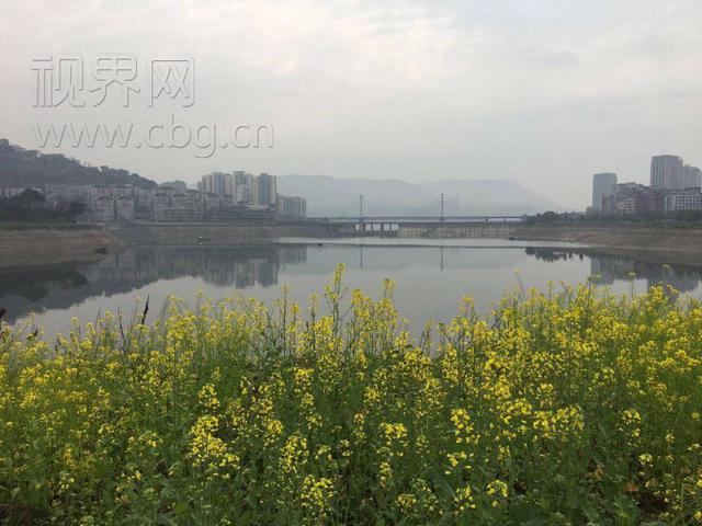 微信图片_20180312232232