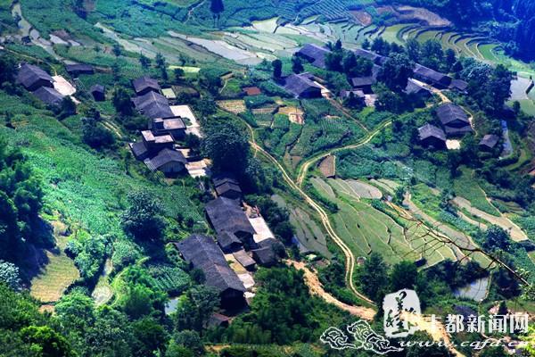 丰都:青龙乡瓦屋山 神秘绝美生态旅游地