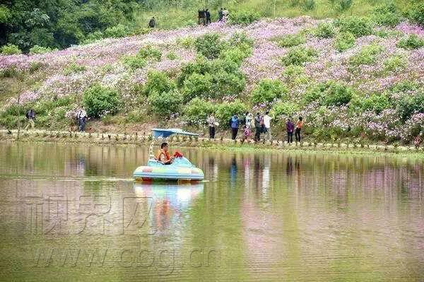 微信图片_20180312232226