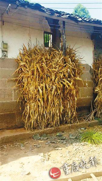 垫江昨日地震 市地震局:近期不会发生破坏性地震