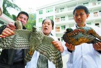 点击浏览大图