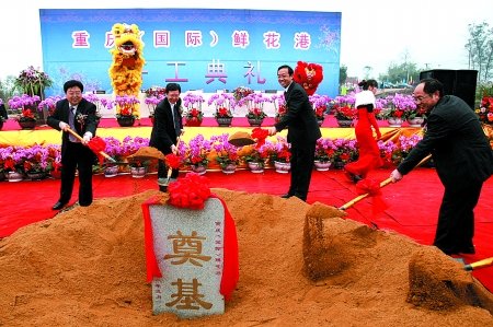 上海鲜花港微博_上海鲜花港_鲜花拱门(3)