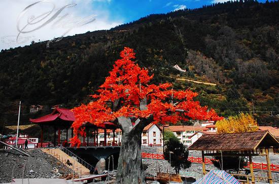 寻找最美秋色 国内十大秋季旅游景点推荐