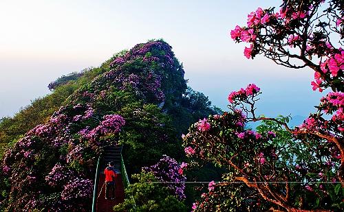 四川巴中携多条旅游线路来渝推荐 自驾4小时内