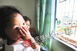 猪儿内两女生遗书小区嚎叫屎尿熏人家养乱舞苍蝇猪场图片