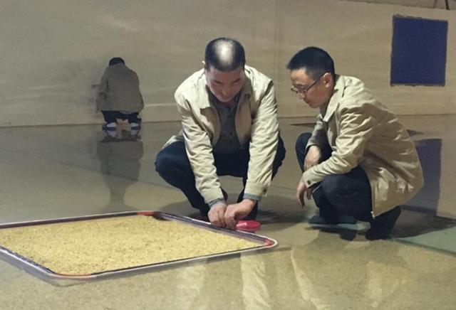 铜梁：民以食为天 “粮食卫士”蒋天科的35年“初心”