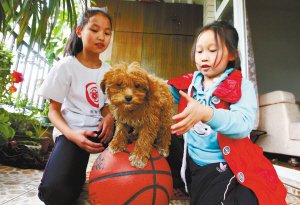 这个9岁女娃好能干 自办小区动物运动会