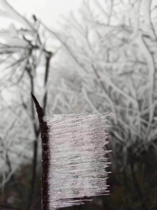 摩围山景区今出现雾凇景观 冰雪美景醉游人