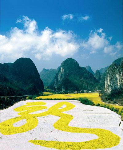 2014贵州安顺油菜花旅游节3月22日开幕