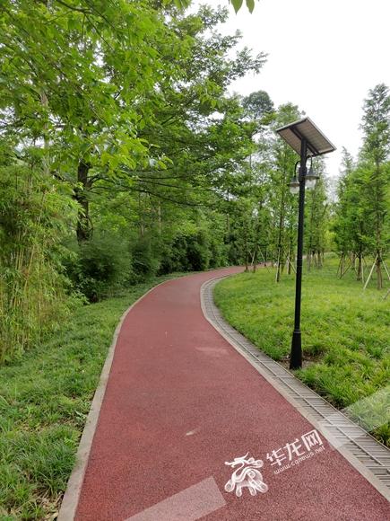 万盛gdp_万盛奥陶纪公园(3)