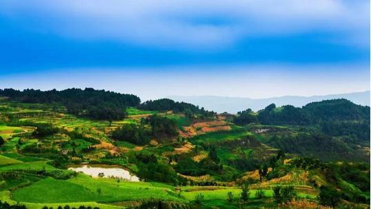 重庆主城各区最具代表的这些景点,你都去过了