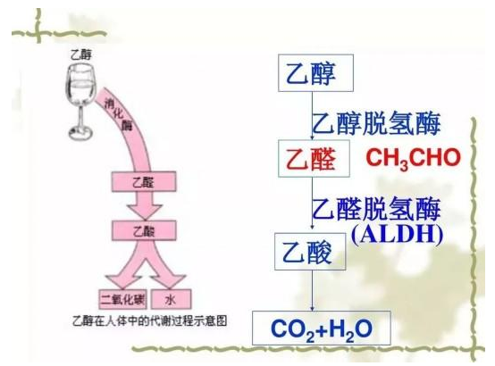 最新论文刷屏:喝酒致癌 中国人尤其危险